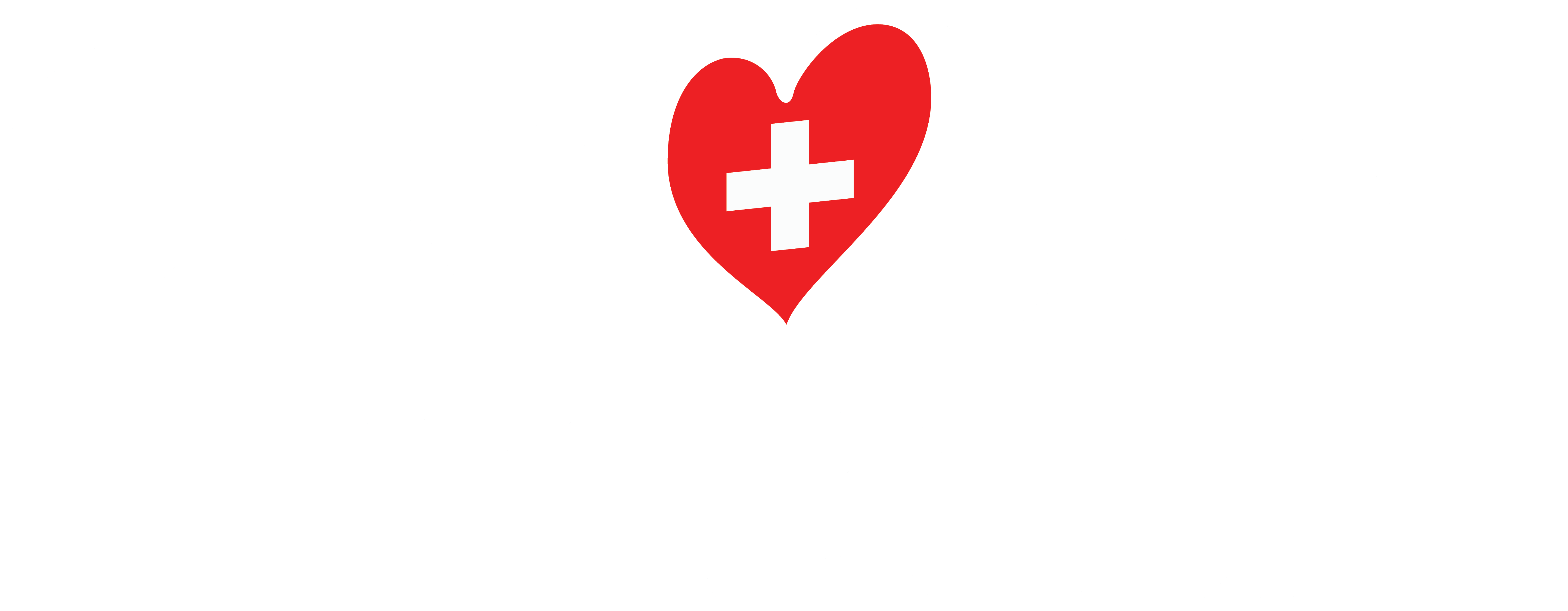 Viisut 2025